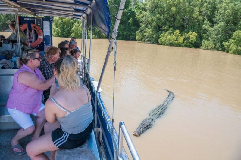 Darwin: Spectacular Jumping Crocodile Adelaide River Cruise - Key Points