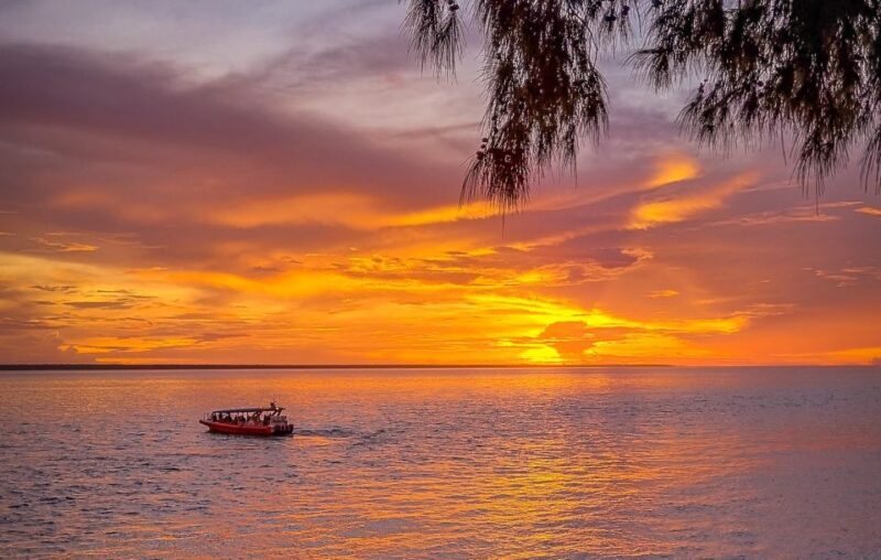 Darwin: Sunset Harbour Cruise with Fish and Chips Dinner - A Detailed Look at the Experience