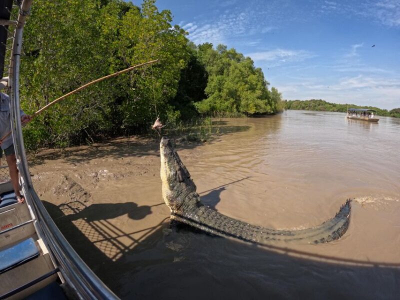 Darwin: The Croc Bus to the Famous Jumping Crocodile Cruise - Fogg Dam Conservation Reserve