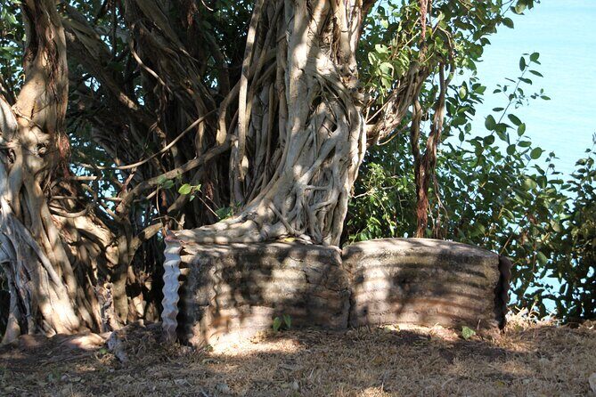 Darwin Walking Tour: World War II Reflections - What Sets This Tour Apart