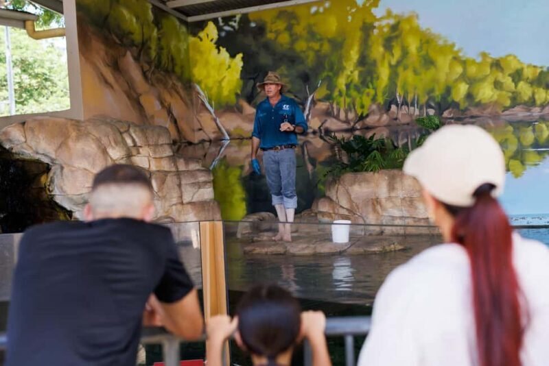 Darwin: Whipray Encounter with Entry to Crocosaurus Cove - What the Experience Entails