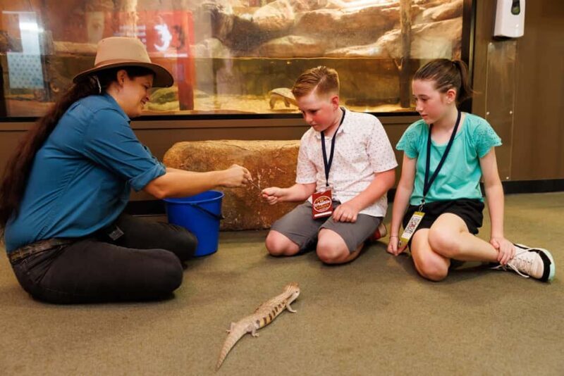 Darwin: Whipray Encounter with Entry to Crocosaurus Cove - Beyond the Rays: Full-Day Access to Crocosaurus Cove