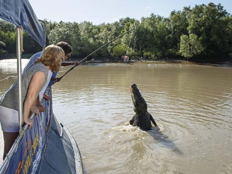 Darwin6 Day Darwin Tour Package - What Sets This Tour Apart?