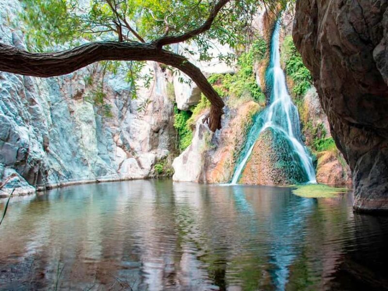 Darwin6 Day Darwin Tour Package - The Sum Up: Why Choose This Tour?