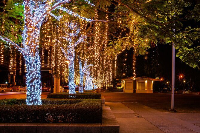 Darwins Christmas Charm Festive Walking Tour - A Detailed Look at Darwin’s Holiday Lights and Local Spirit