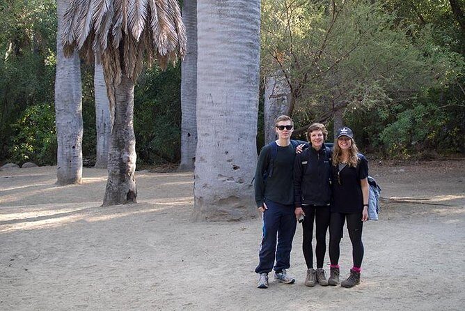 Darwin's Route: Traversing the Chilean Palm Forest - A Deep Dive into the Experience