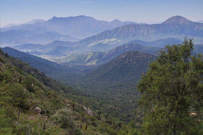 Darwin's Route: Traversing the Chilean Palm Forest - FAQ