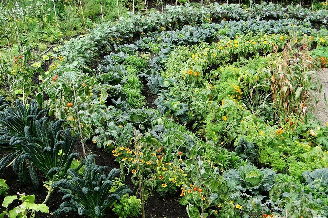 Davao Eden Nature Park Tour with snacks (6hrs) - Key Points