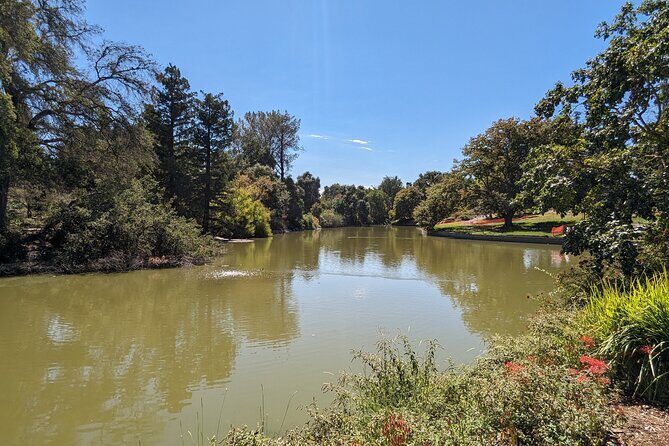 Davis Scavenger Hunt Walking Tour and Game - Final Thoughts