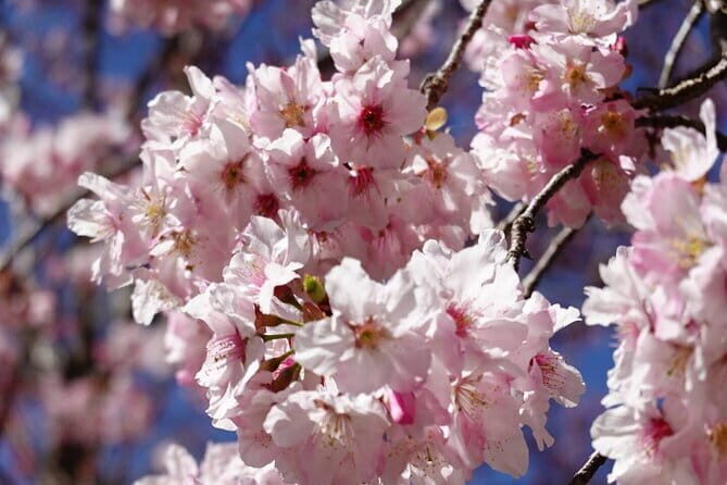 Daxi Xiaowulai: One Day Tour from Taipei - Frequently Asked Questions