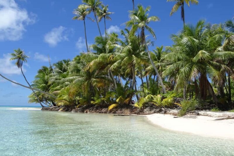 Day cruises to Tetiaroa - Why We Love This Tour
