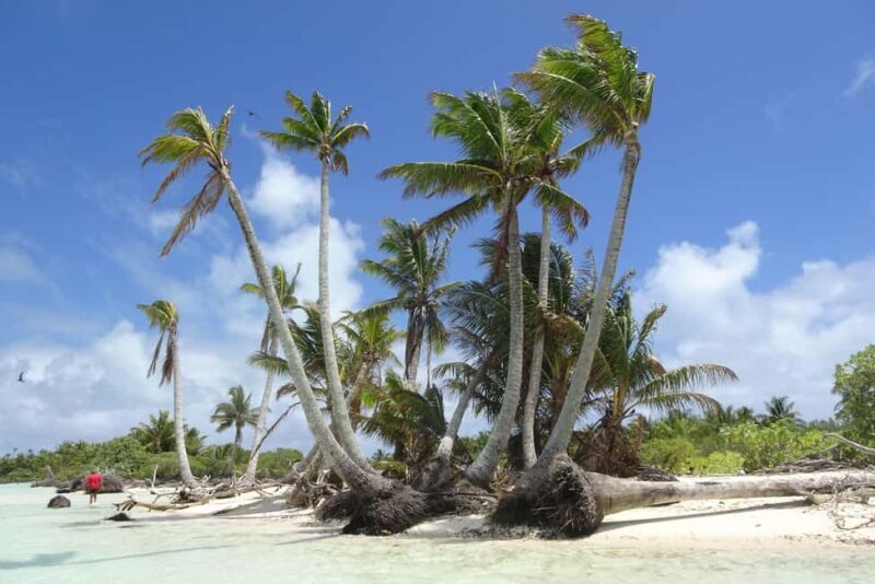 Day cruises to Tetiaroa - Who Will Appreciate This Tour?