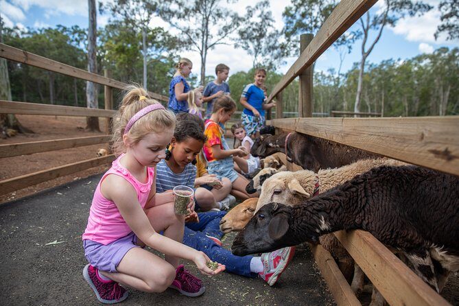 Day Entry ticket - Visiting White Ridge Farm: What You Can Expect