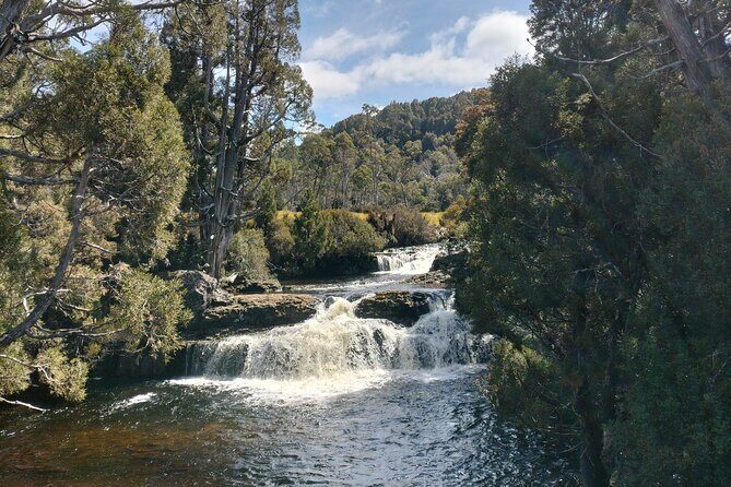 Day Excursion Burnie Cradle Mt National Park - Practical Details: What to Expect