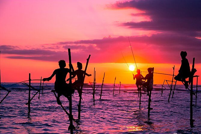 Day Excursion from Colomb to Yala Safari (Leopard Safari Tour) - Who Would Love This Tour?