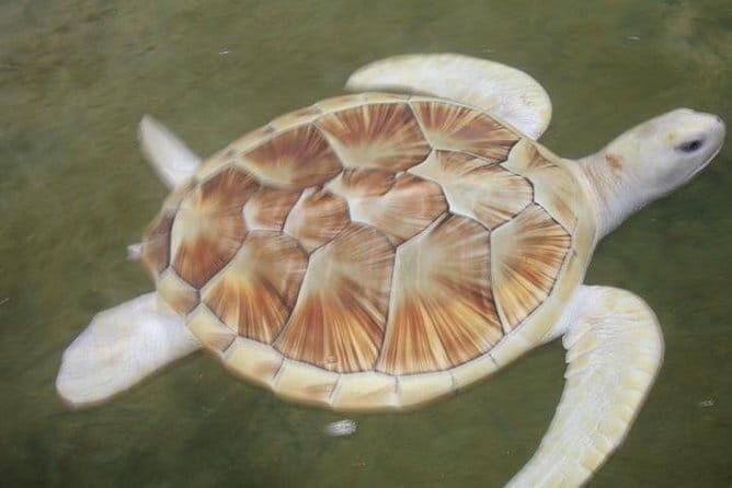 Day Excursion to Historical Galle - Exploring Galle’s Historic Dutch Fort