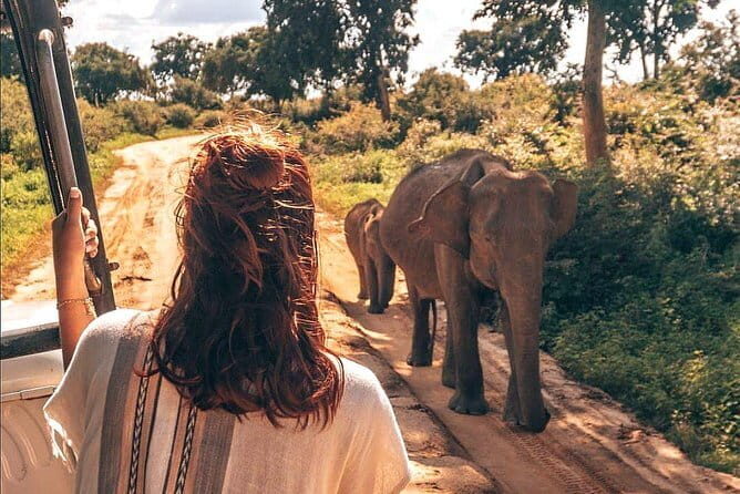 Day Excursion to Udawalawe from Colombo - Exploring Sri Lanka’s Wildlife on a Day Trip to Udawalawe from Colombo
