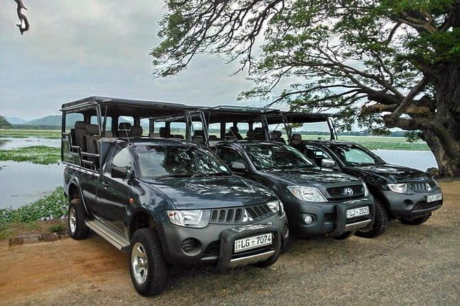 Day Excursion to Udawalawe from Colombo - Key Points