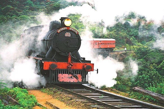 Day Excursions to Horton Plains & Local Train Experience from Ella - The Sum Up