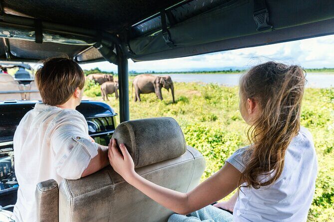 Day Excursions To Udawalawe National Park From Negombo - Lunch and Relaxation in Udawalawe