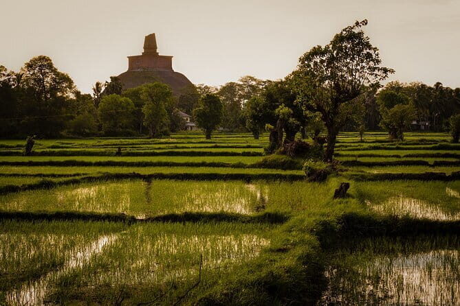 Day Excursions to UNESCO City ANURADHAPURA from Negombo - Key Points