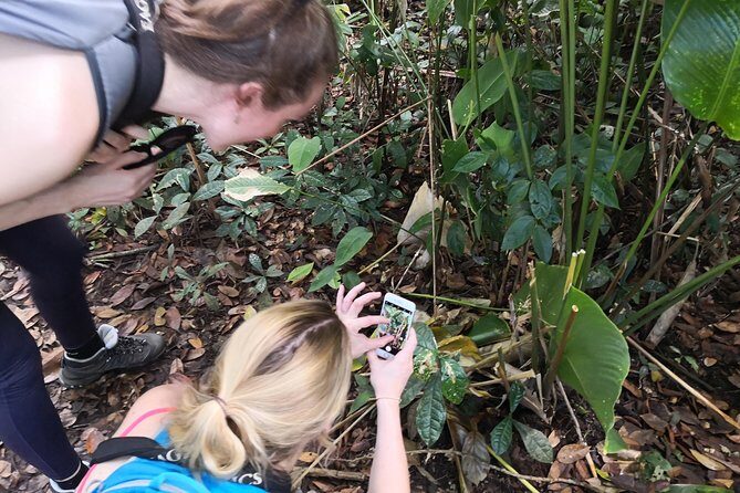 Day Hike in the National Park - Why Choose This Experience?