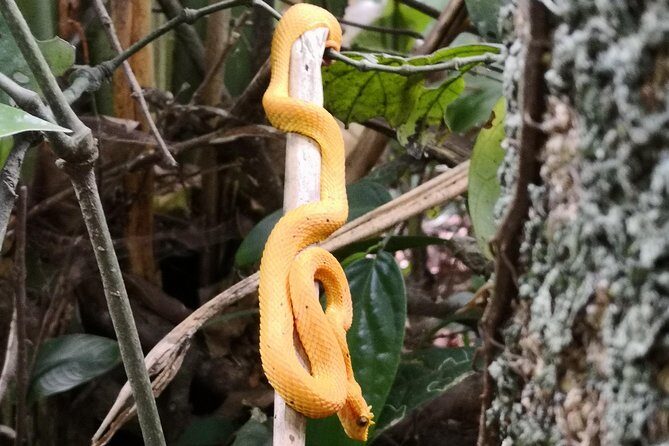 Day Hike in the National Park - FAQs