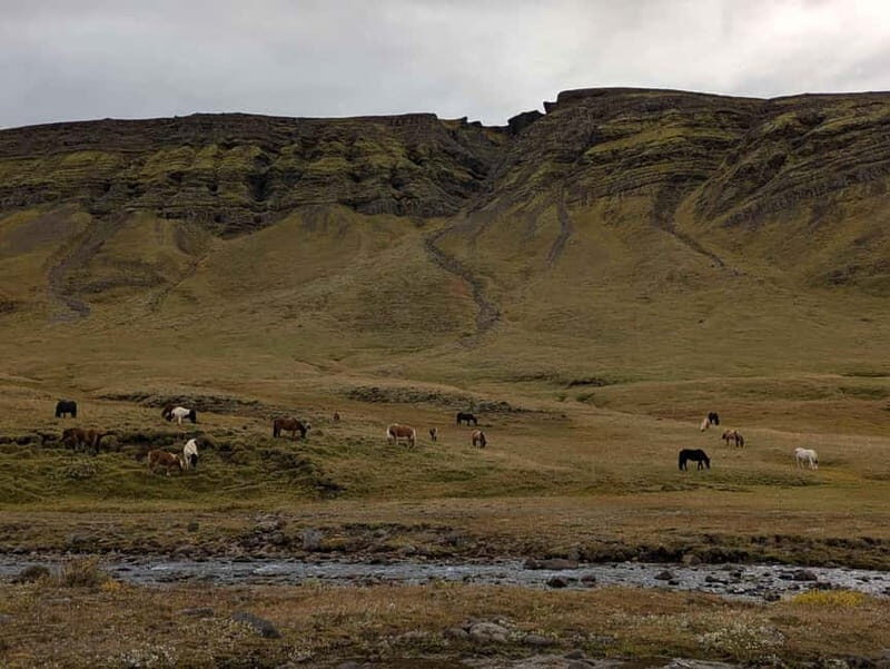 Day Hike to Grimannsfell: Waterfall & Legacy - moderate - Experience the Icelandic Wilderness with a Moderate Day Hike to Grimannsfell