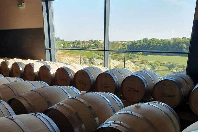 Day in Saint-Emilion - medieval village and wine tasting - Who Would Enjoy This Tour?