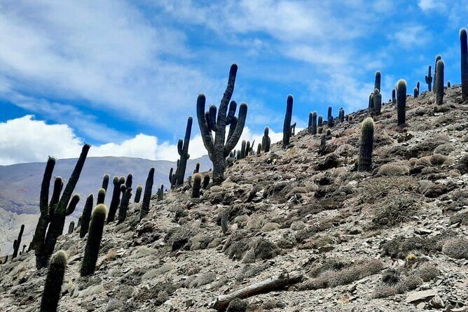 Day long Hike to Inca ruins - Experience the Majesty of Inca Ruins on a Full-Day Hike from Salta