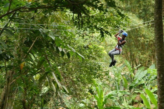 Day of Adventure - Zipline and Hike or Bike - An Adventure in St. Lucia: Zipline and Hike or Bike