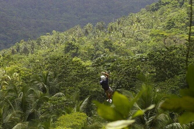 Day of Adventure - Zipline and Hike or Bike - In-Depth Look at the Tour Experience