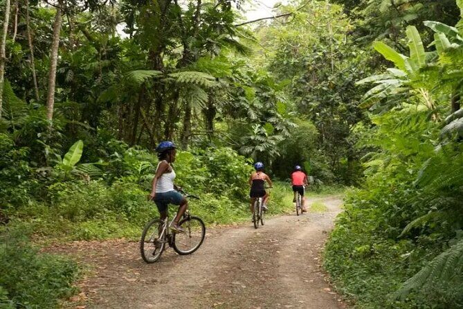 Day of Adventure - Zipline and Hike or Bike - Frequently Asked Questions