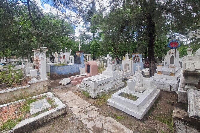 Day of the Dead Walking Tour in San Miguel de Allende - Final Thoughts