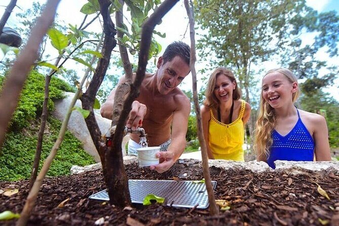 Day of wonder at Xenses! Round Transportation From Cancun - Who Will Enjoy This Tour?