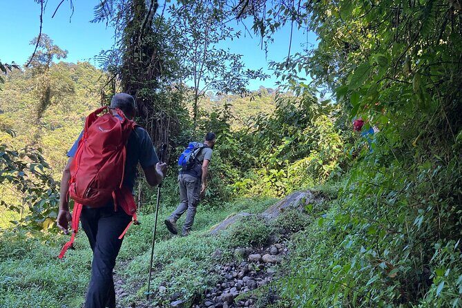 Day pass Iral Cloud Forest trails and lunch - Exploring the Iral Cloud Forest: A Practical Guide to the Day Pass Experience
