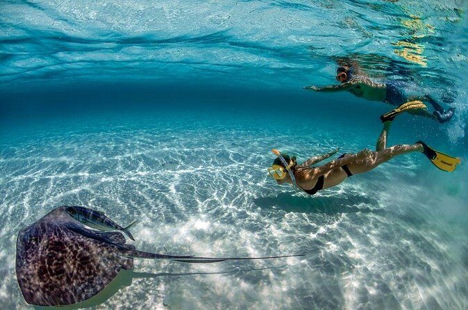 Day Pass To Cozumel Snorkeling By Boat - Final Thoughts: Is This Tour Right for You?