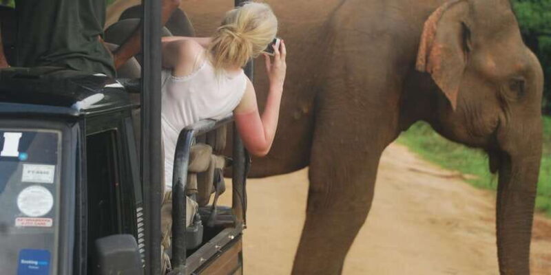 Day Safari From Hambantota - Day Safari From Hambantota: An Authentic Wildlife Adventure