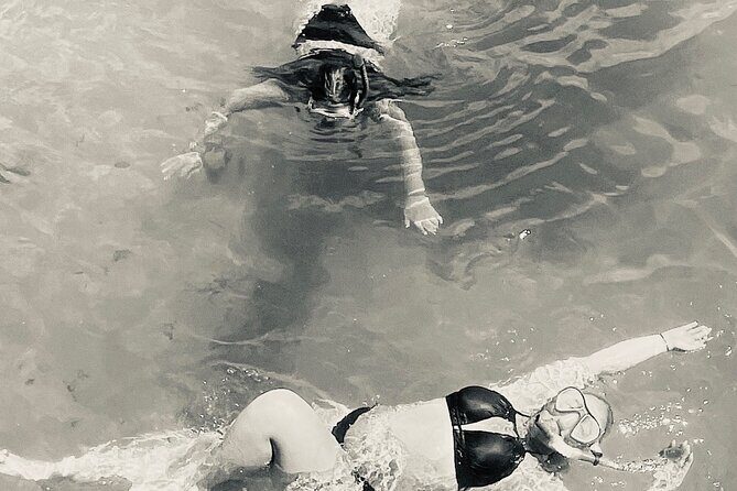 Day Snorkeling Tour in Orange Beach - Key Points