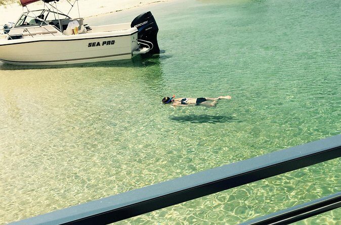 Day Snorkeling Tour in Orange Beach - Final Thoughts: Is This Tour Worth It?