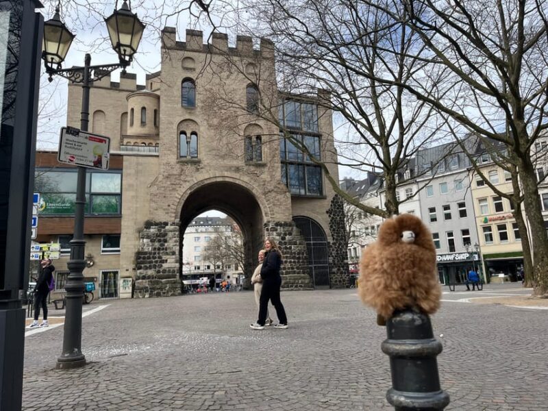 Day tour Aachen & Cologne from Brussels - Exploring Aachen & Cologne: A Practical Guide
