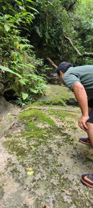 Day Tour /Amboro National Park (north side) - Exploring Bolivia’s Wild Side: A Day at Amboro National Park (North Side)