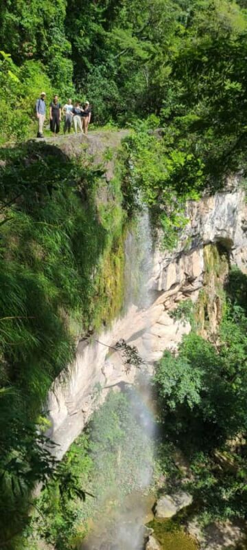 Day Tour /Amboro National Park (north side) - What Travelers Are Saying