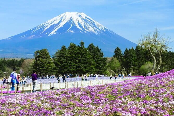 Day Tour at Mt. Fuji, Kawaguchi Lake and Oshino Hakkai in Tokyo - The Experience: From Transportation to Cultural Touches