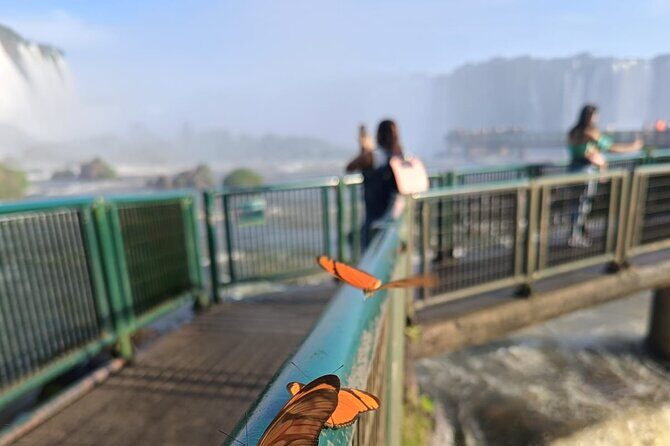 Day tour Cataratas Brazil and Argentina, both small group - In-Depth Look at the Itinerary