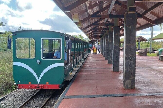 Day tour Cataratas Brazil and Argentina, both small group - The Sum Up: Is This Tour Right for You?