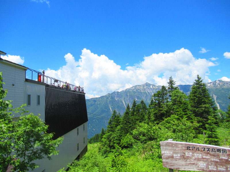 Day Tour fm Takayama: Alpine Splendor Shinhotaka Ropeway & Kamikochi - Lunch break before the second stop