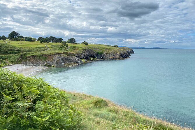 Day Tour from Dublin to Wicklow: Cliffs, Heritage, Wildlife, Gaol - An Authentic Day in Wicklow: Cliffs, Heritage, Wildlife, and a Gaol