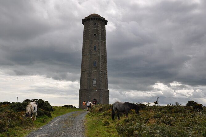 Day Tour from Dublin to Wicklow: Cliffs, Heritage, Wildlife, Gaol - Who Will Love This Experience?
