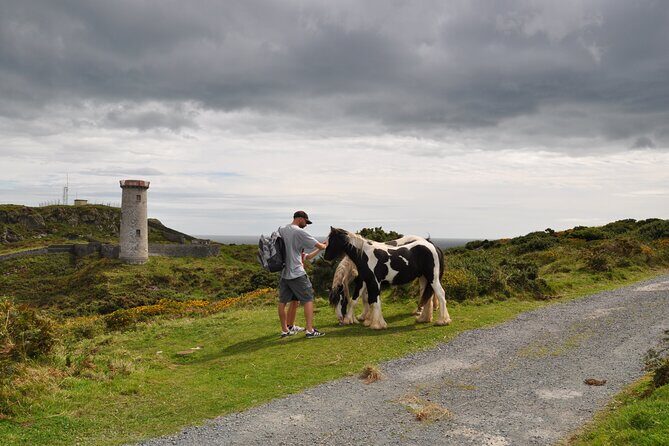 Day Tour from Dublin to Wicklow: Cliffs, Heritage, Wildlife, Gaol - The Sum Up